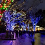 婚約者なのにクリスマスに会えない！これは結婚詐欺？